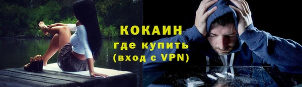 твердый Алексин