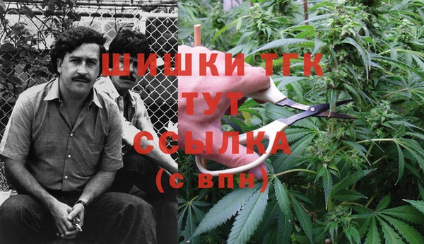 мяу мяу мука Алзамай