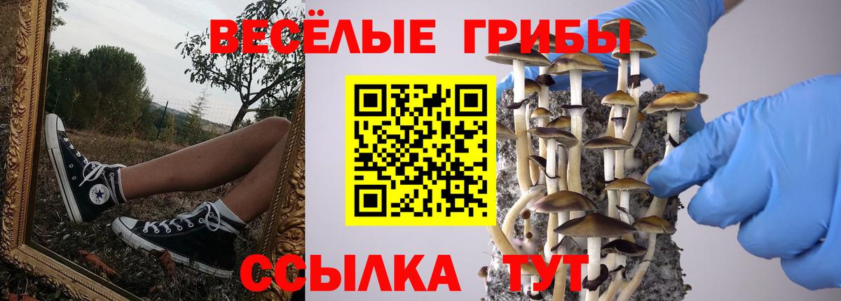Осинники  Галлюциногенные грибы Psilocybine cubensis  Вход с VPN 